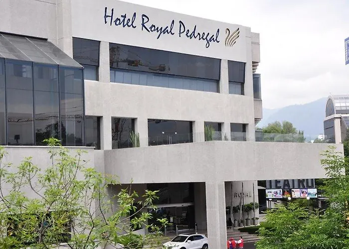 Royal Pedregal Hotel