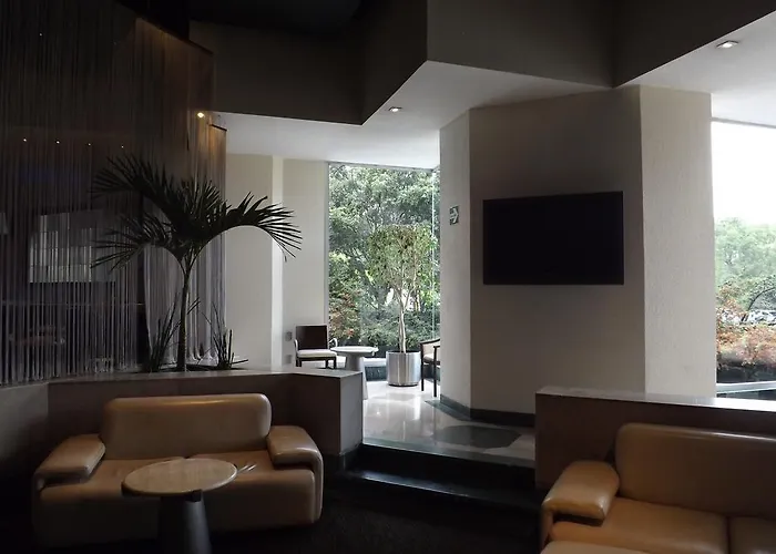 Hotel Royal Pedregal