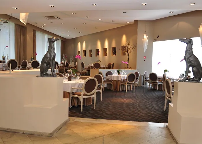 Hotel Royal Pedregal 5*