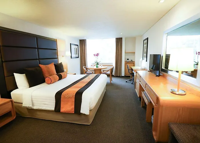 Royal Pedregal 5*