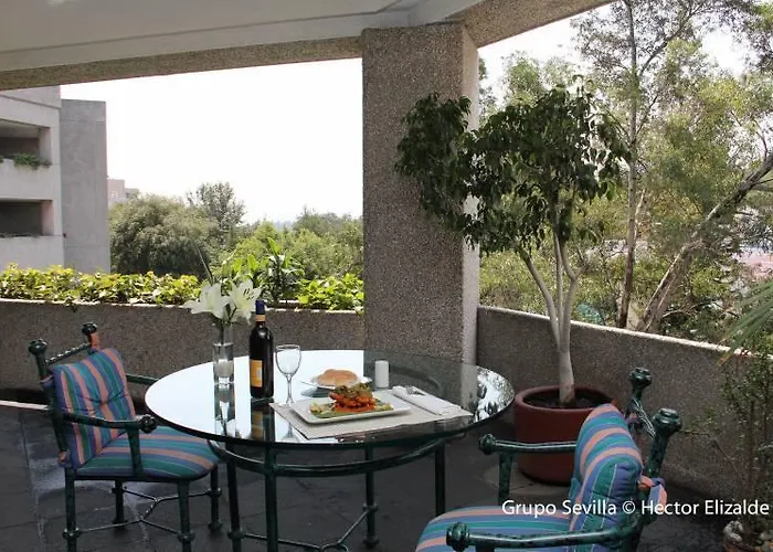Royal Pedregal Hotel